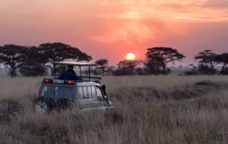Comment bien réussir son safari en Afrique ?